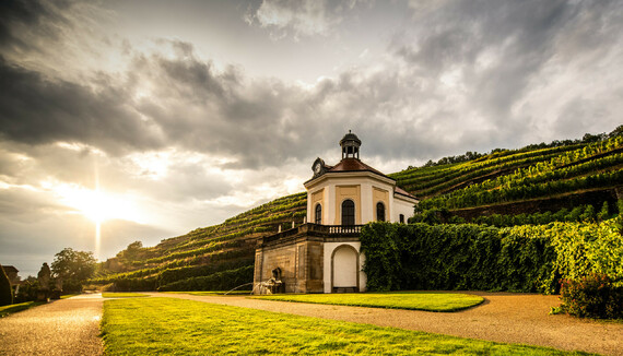 wackerbarth castle in the vineyards at sunset